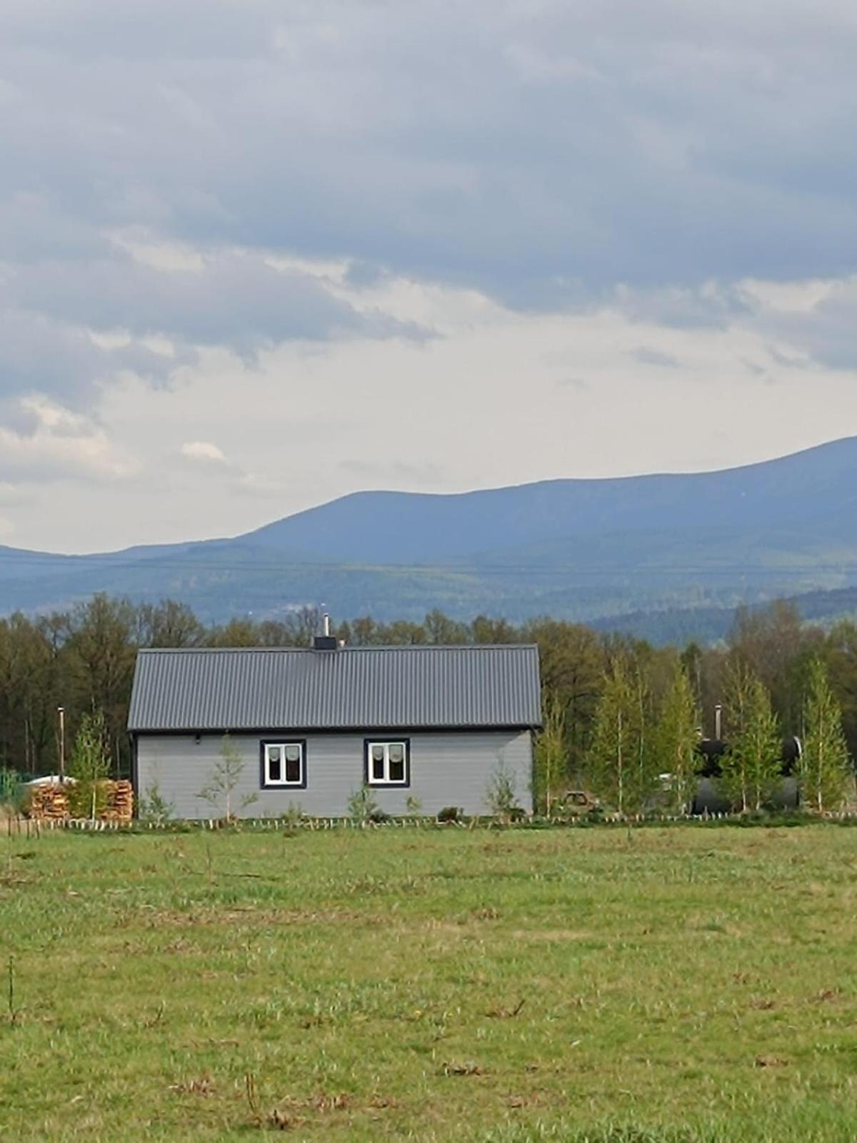 Domki Sniezka Wojcieszyce Luaran gambar